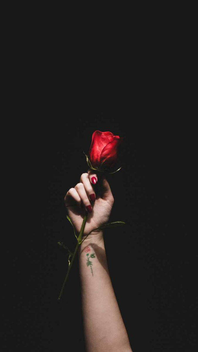 Black Love Rose In Hand Background