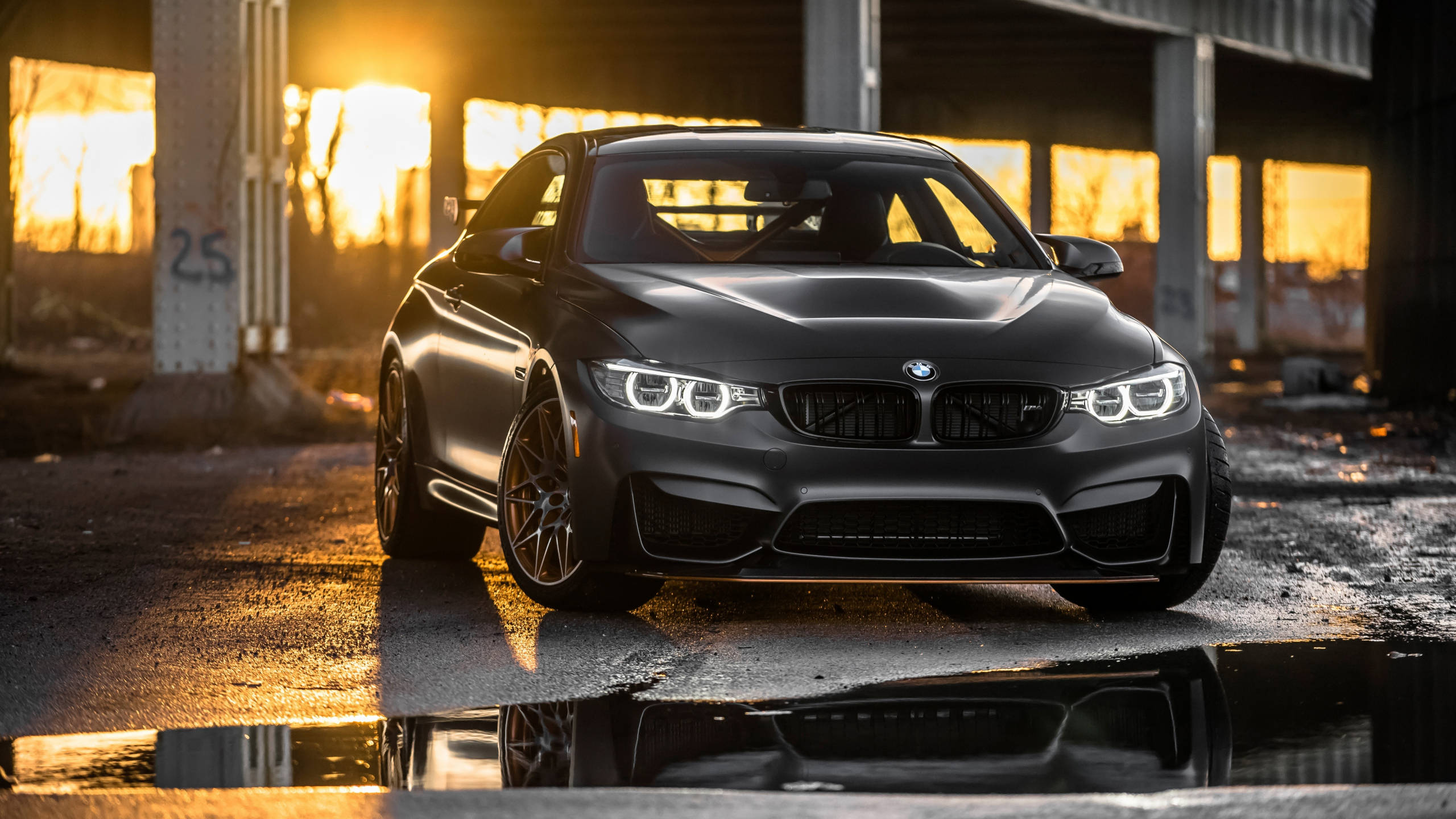 Black M4 Gts Full Hd Bmw