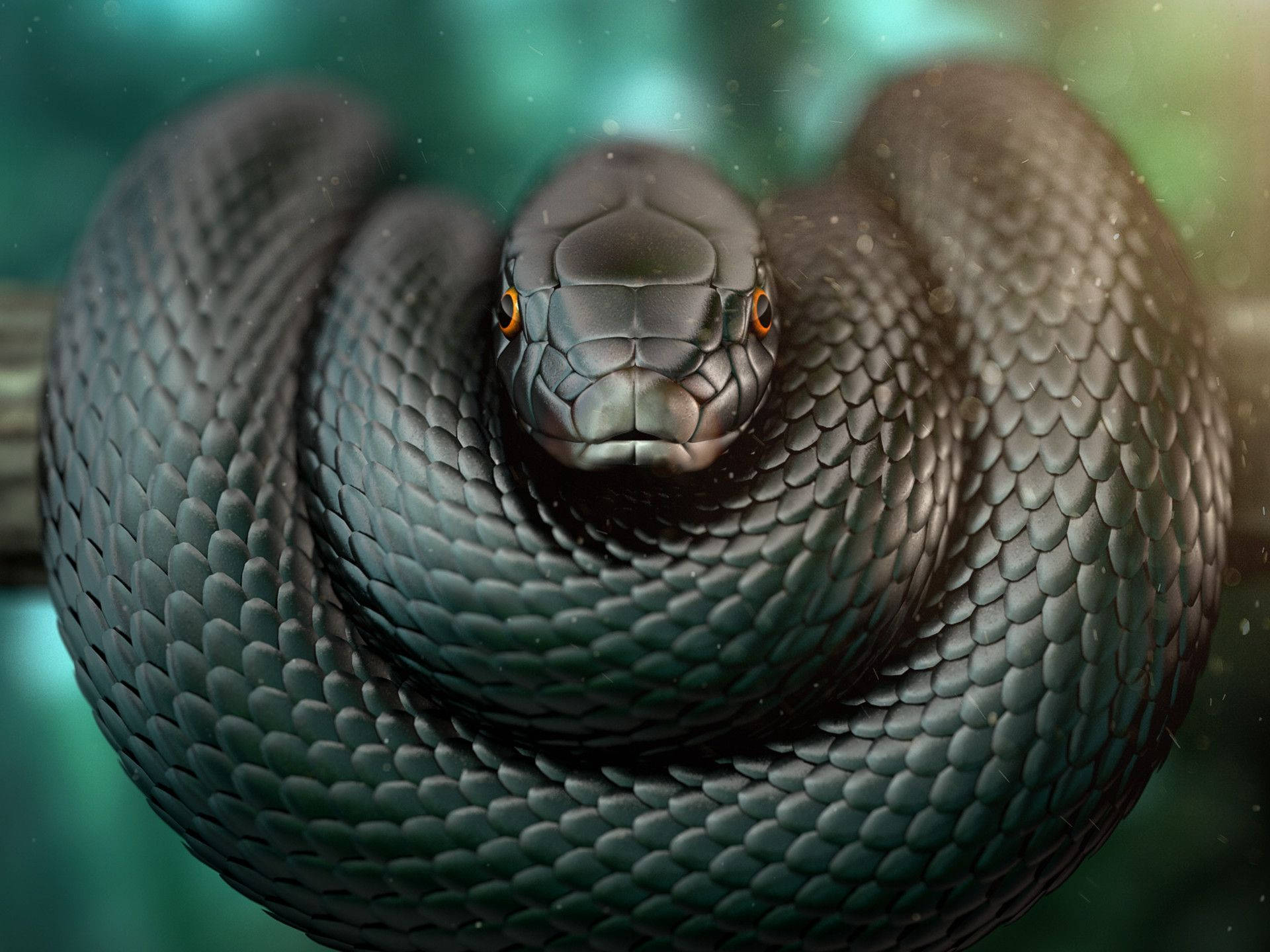 Black Mamba Snake On Tree Branch Background