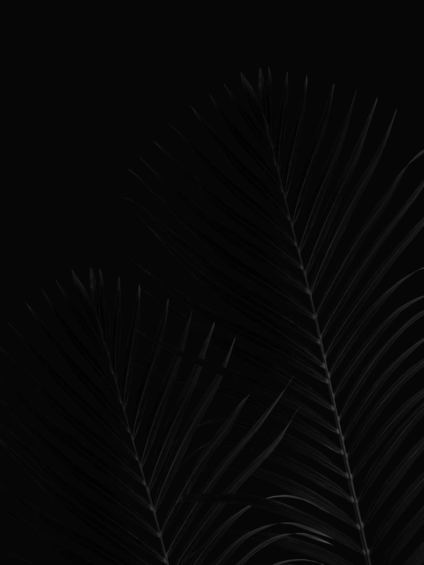 Black Marble 4k Leaves Background