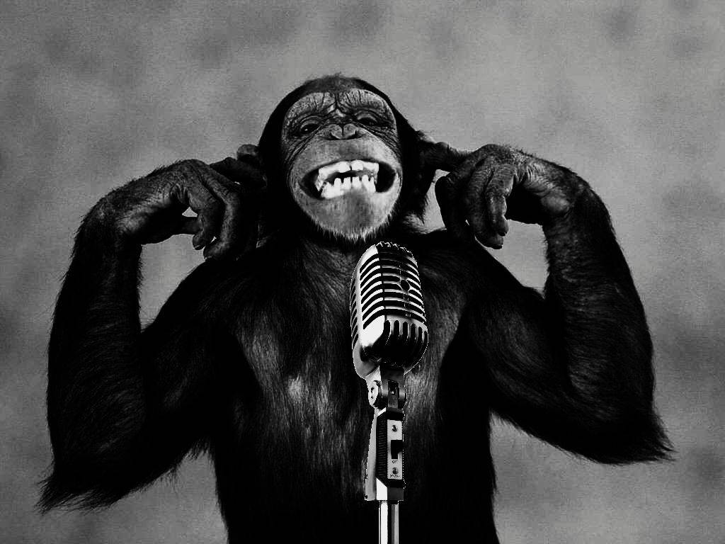 Black Monkey Giggling Behind Microphone Background