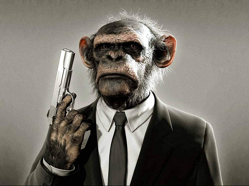 Black Monkey Holding Gun Background