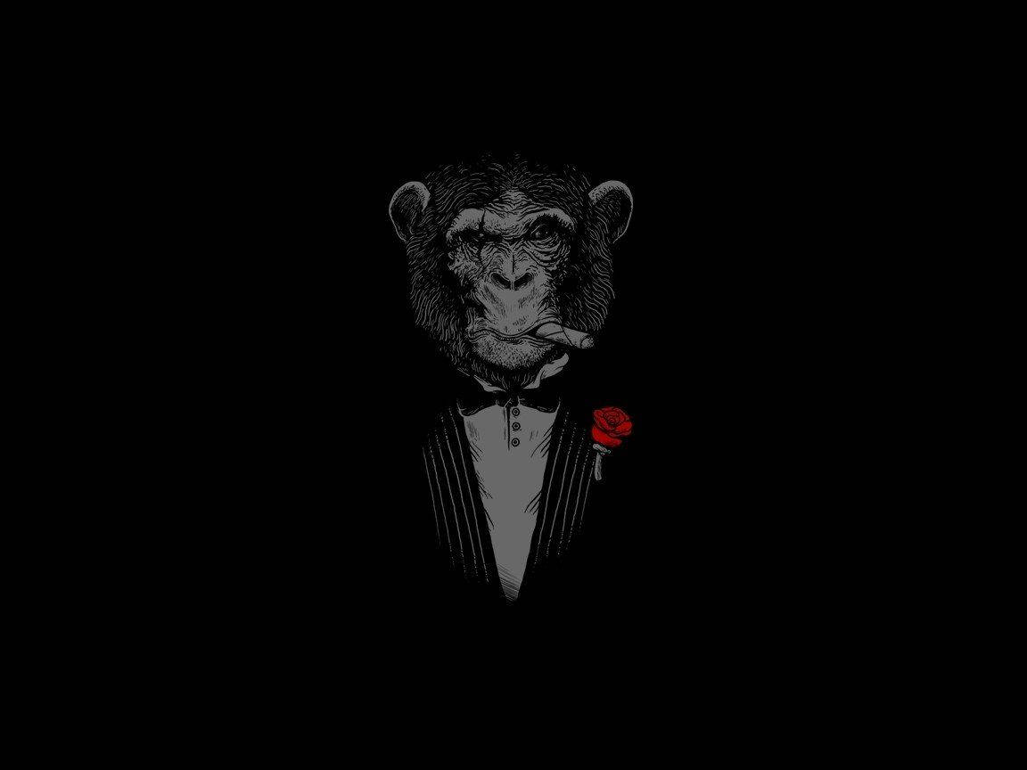 Black Monkey In Suit Background