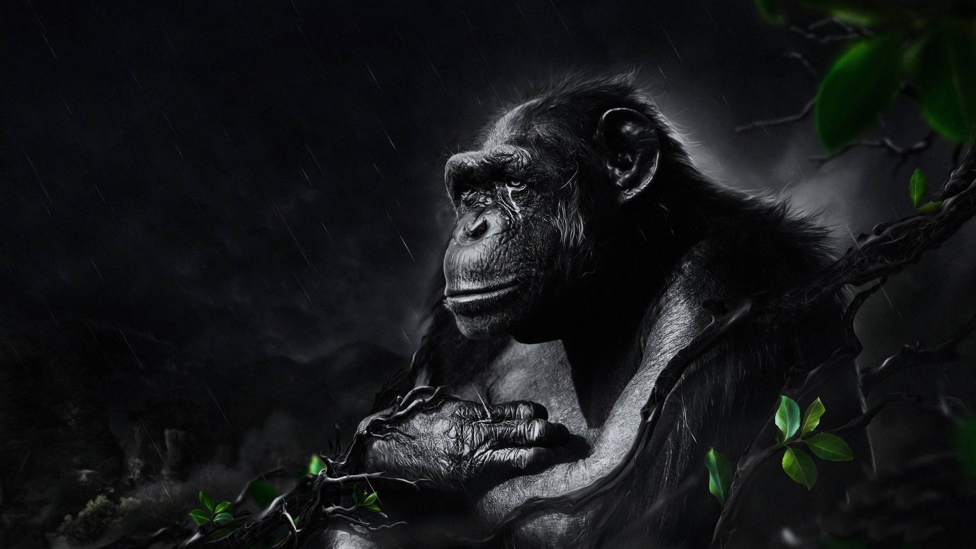 Black Monkey Lonely Painting Background