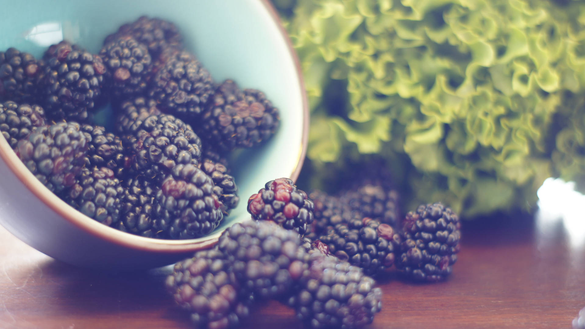 Black Mulberry Fruits Haze Effect Background