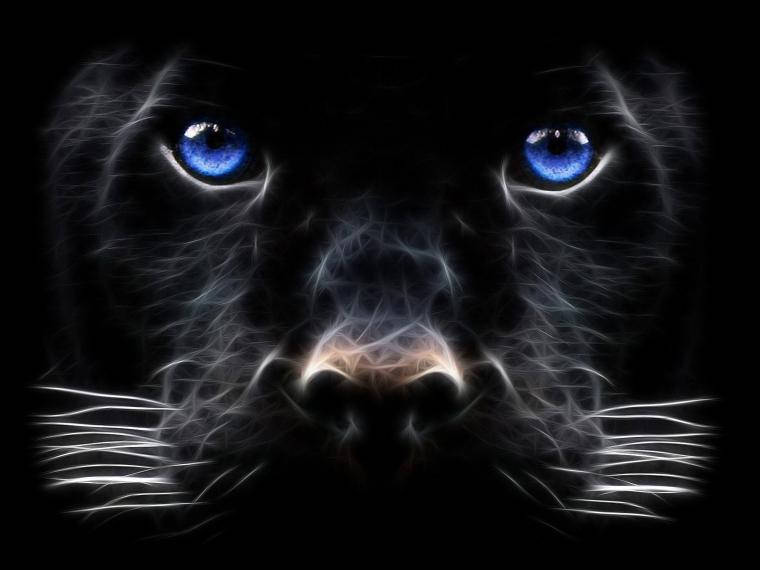 Black Panther Animal Art Background