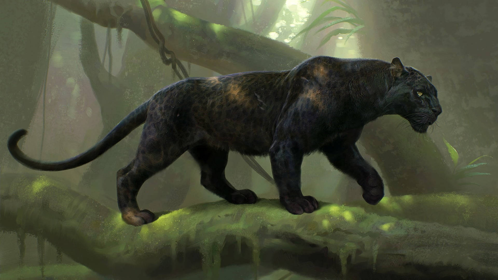 Black Panther Animal Fierce Background
