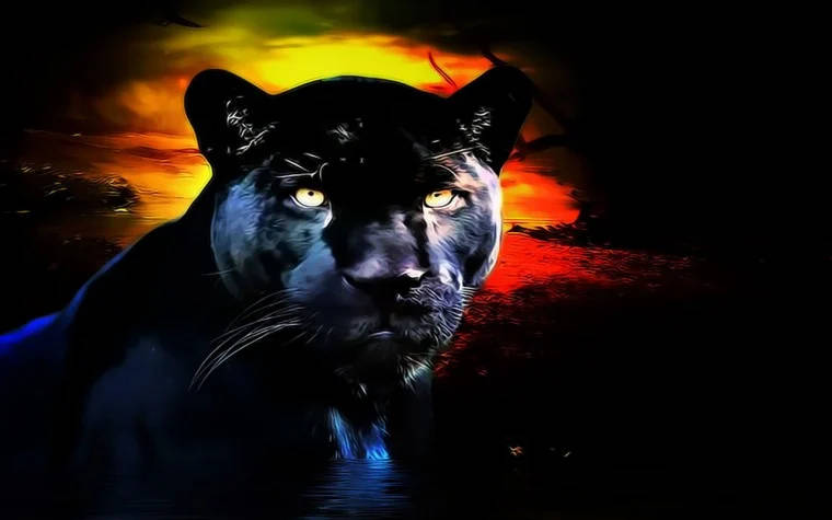 Black Panther Animal Sunset Background