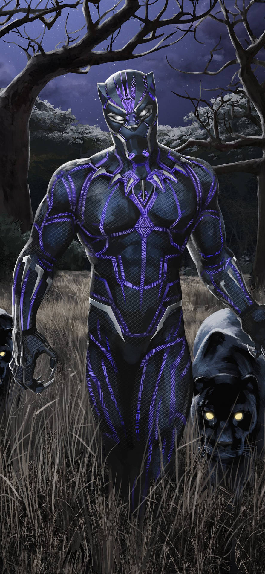 Black Panther Superhero Great Cat Wakanda