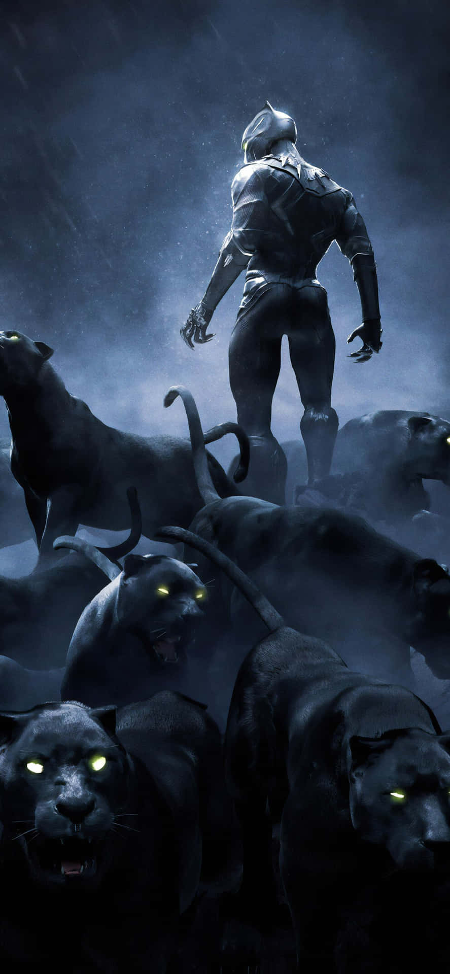 Black Panther, The Marvel Super Hero Background