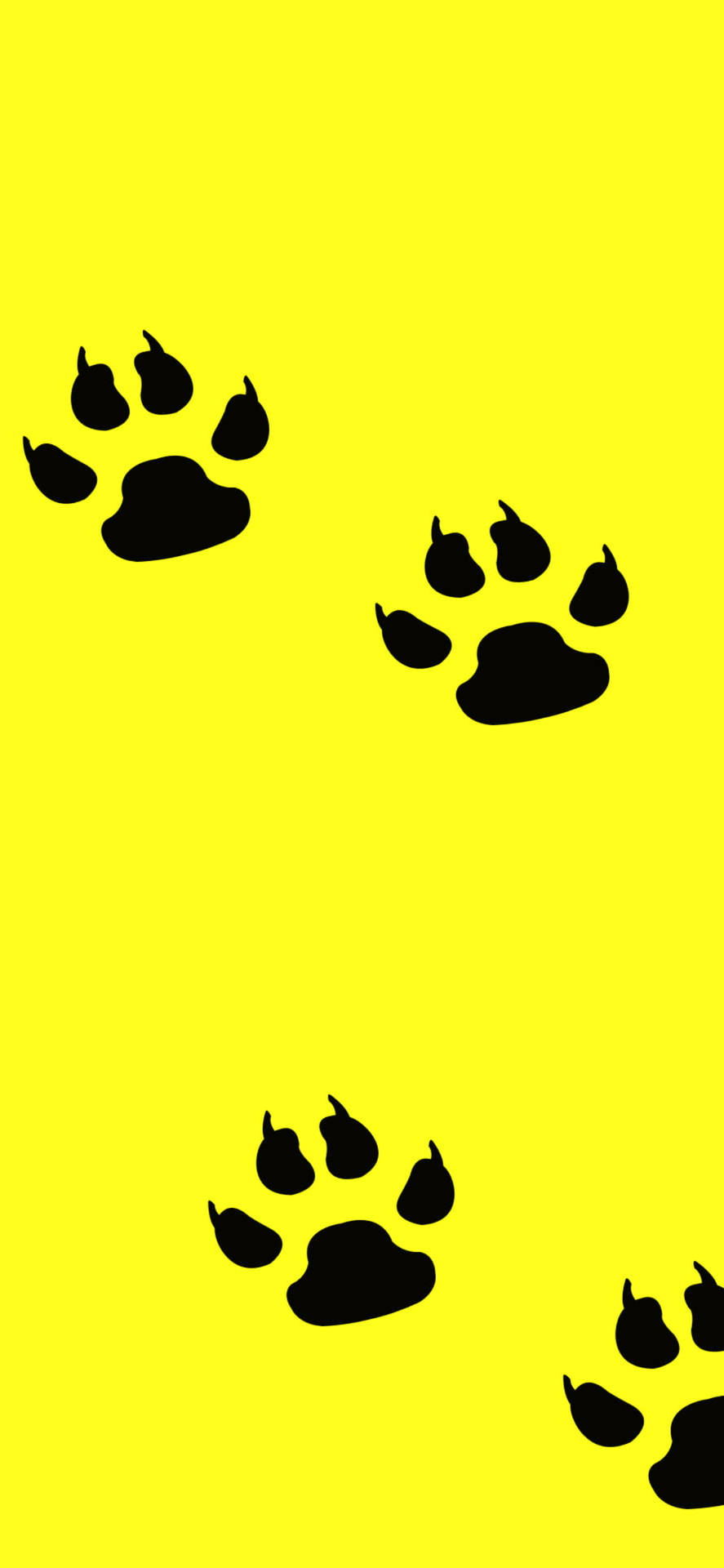 Black Paw Prints On Yellow Background