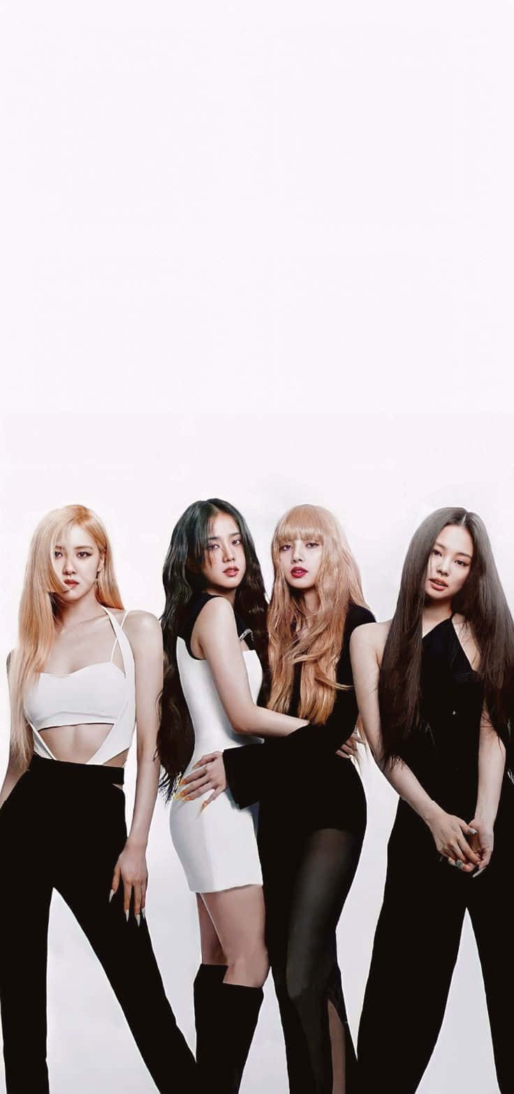 Black Pink Photoshoot Background