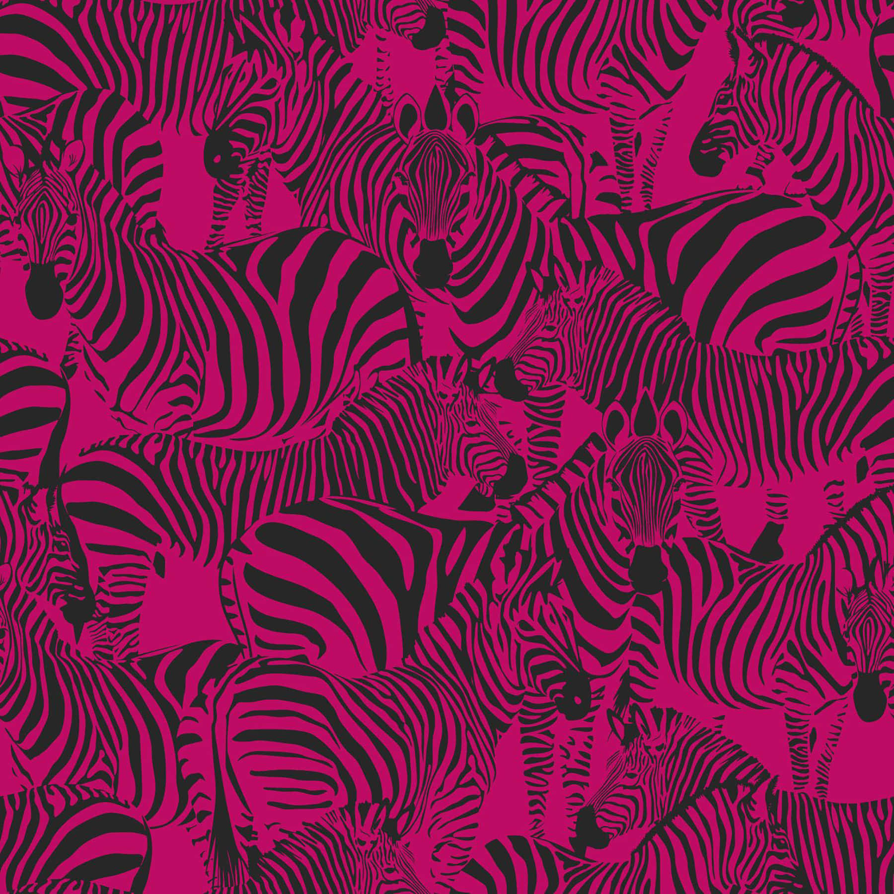 Black Pink Zebra Animal Figure Pattern Background