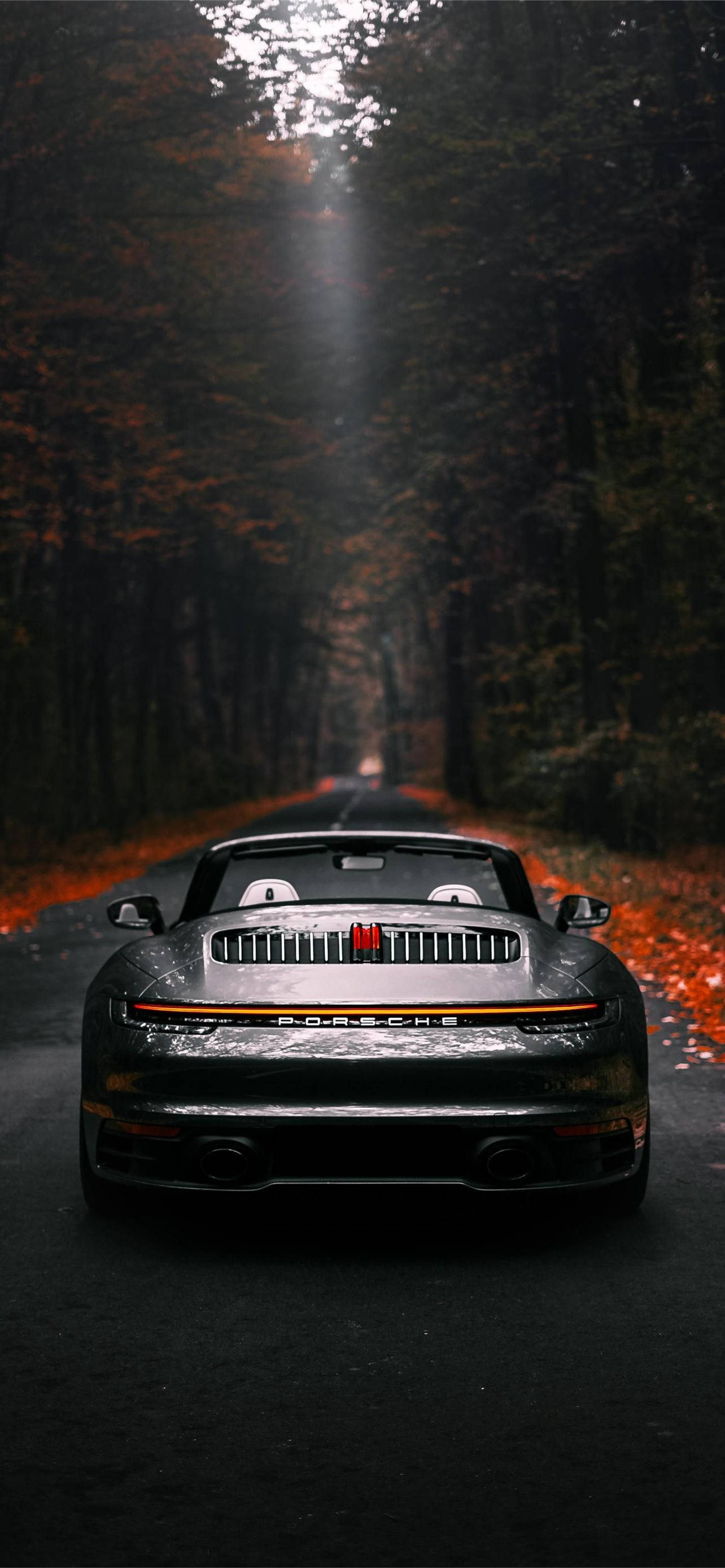 Black Porsche 911 Driving In Autumn Background