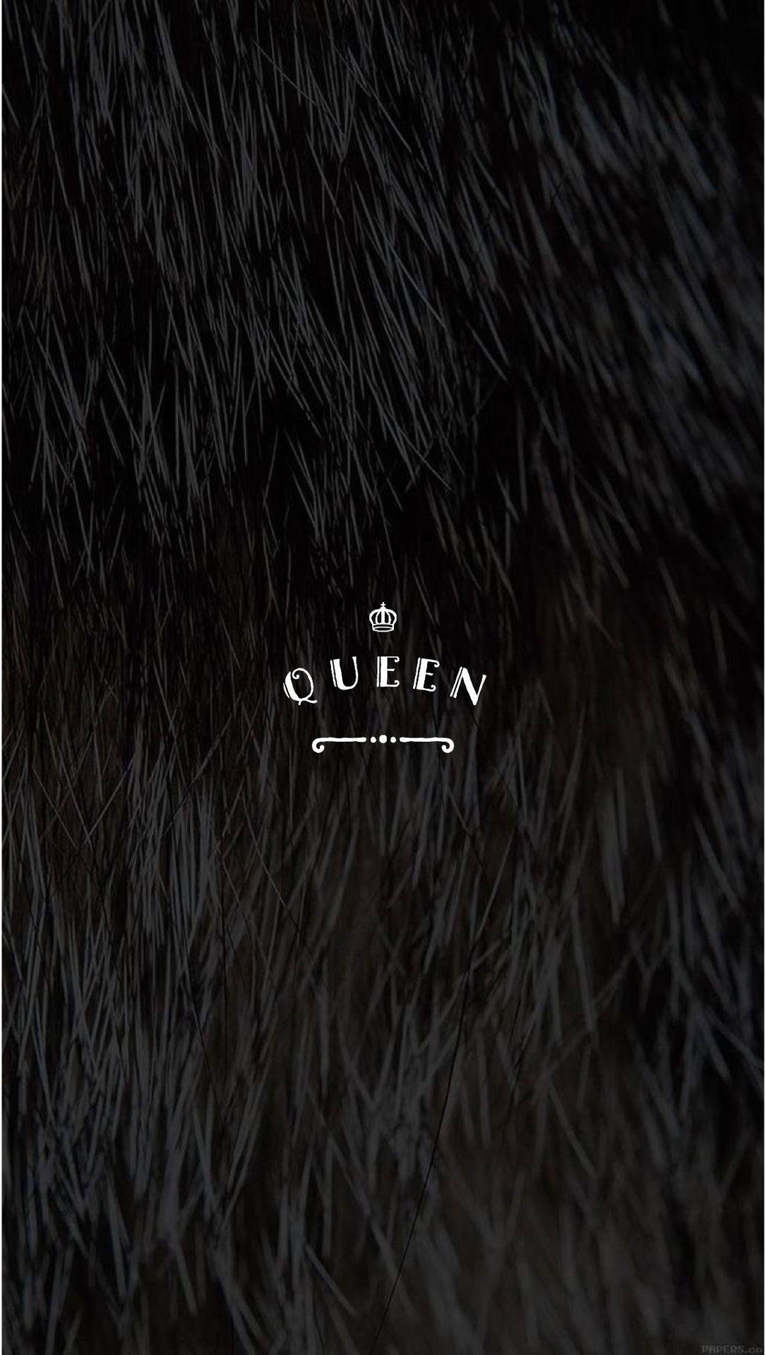 Black Queen In Abstract Furry Background