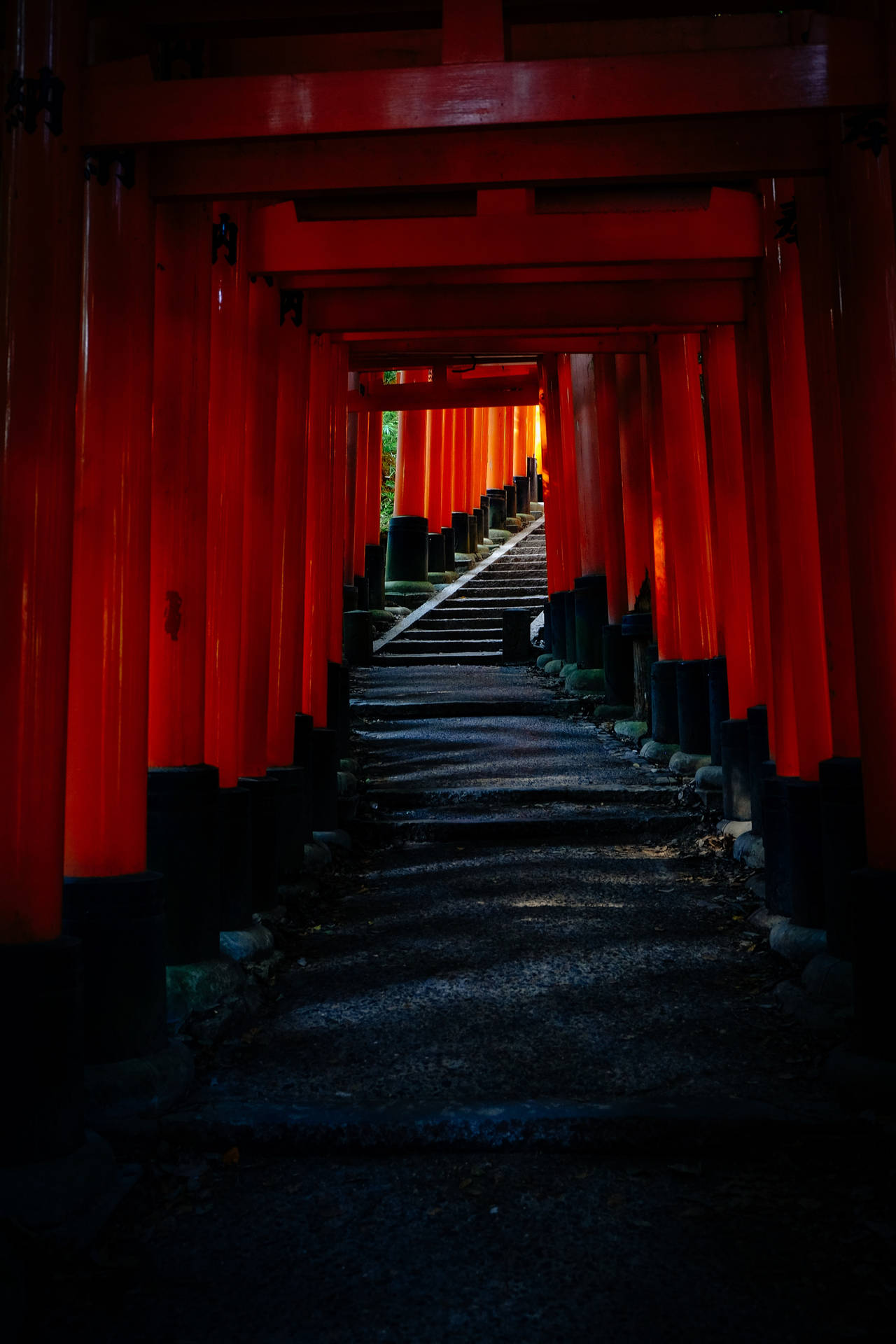 Black Red 4k Fushimi Inari Background