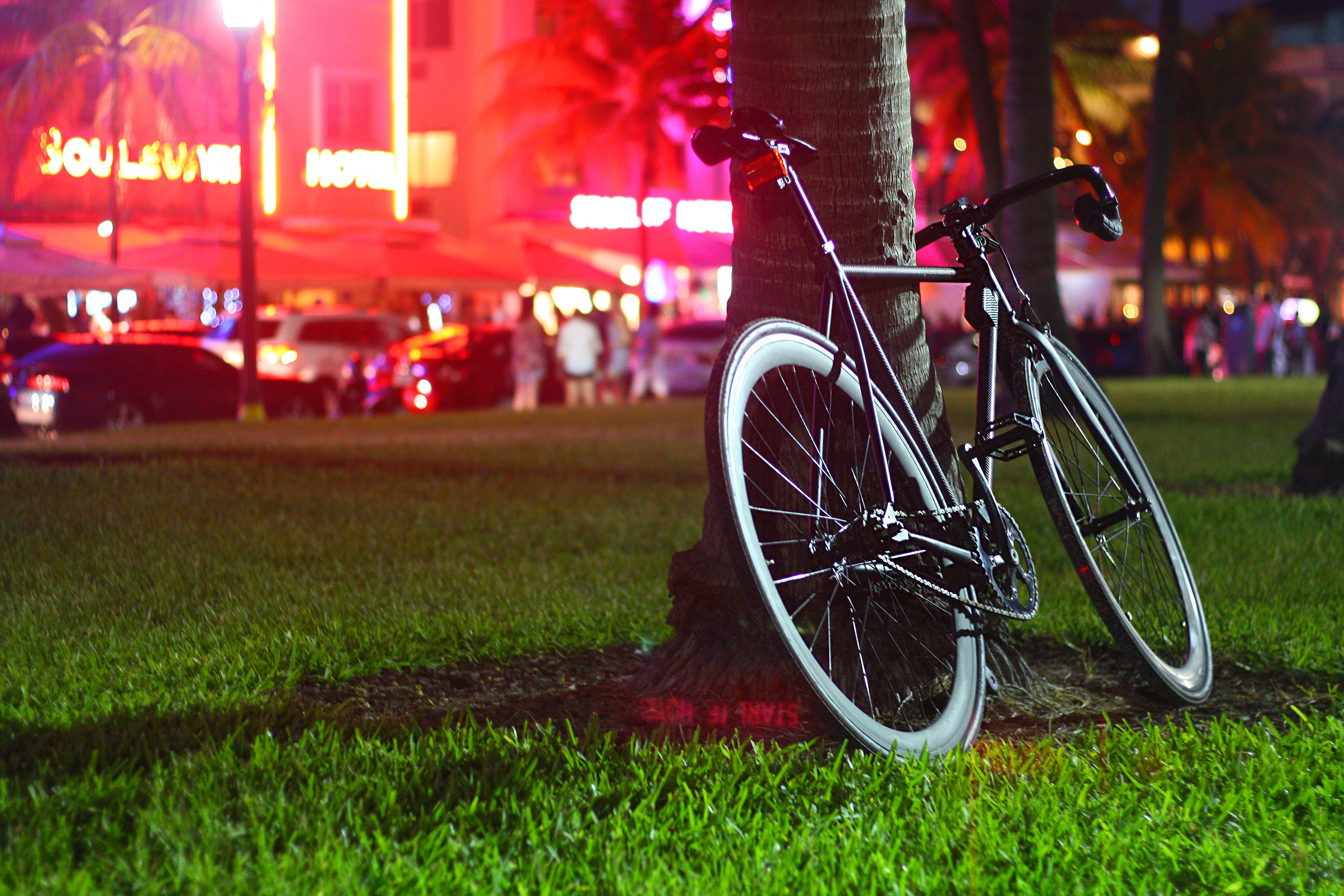 Black Road Bike In Mall Tree Background