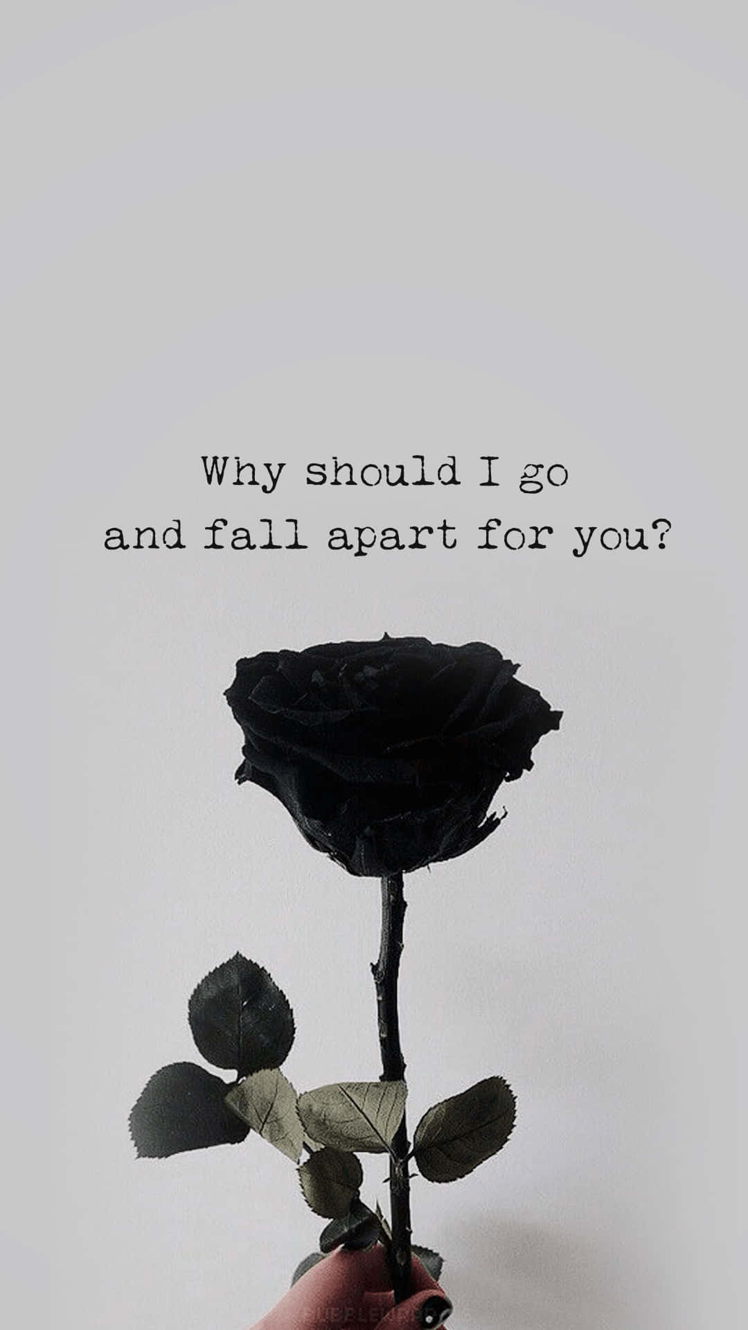 Black Rose Aesthetic Quotes Background