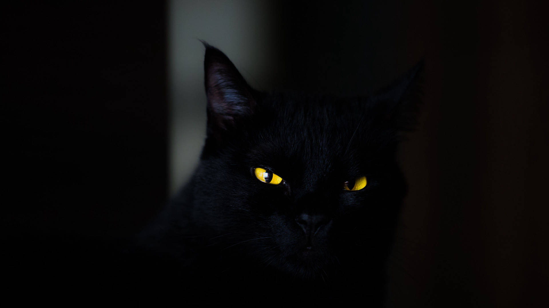 Black Screen 4k With Cat's Eyes Background