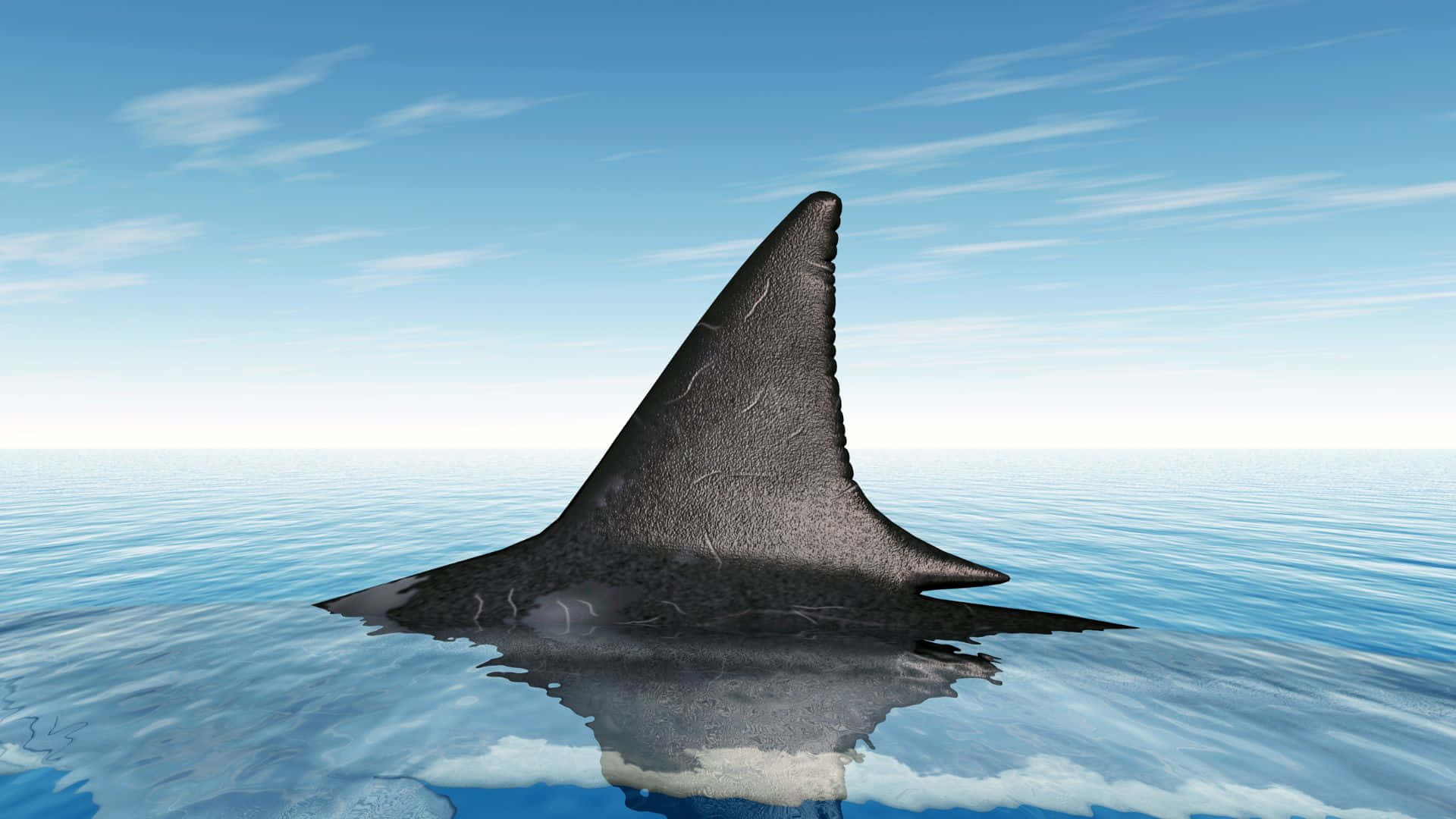 Black Shark Sharp Fin Background