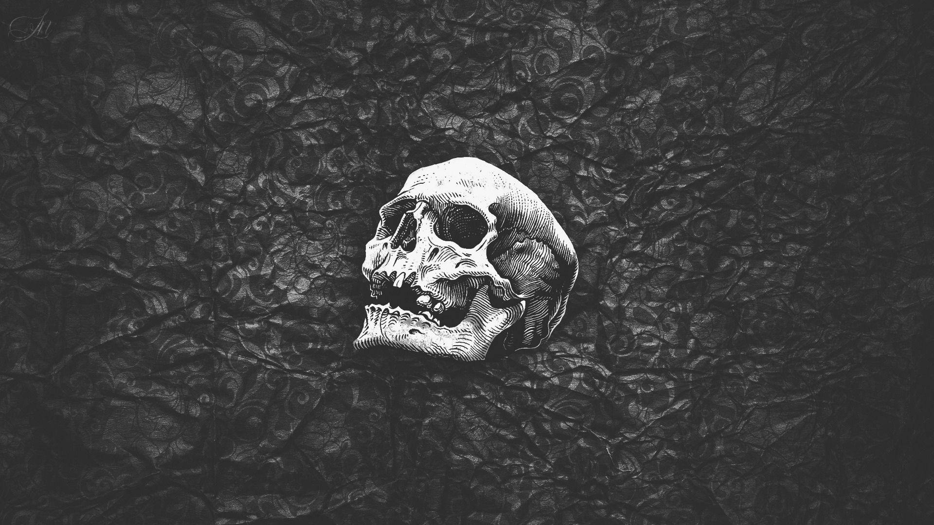 Black Skull Plain Background