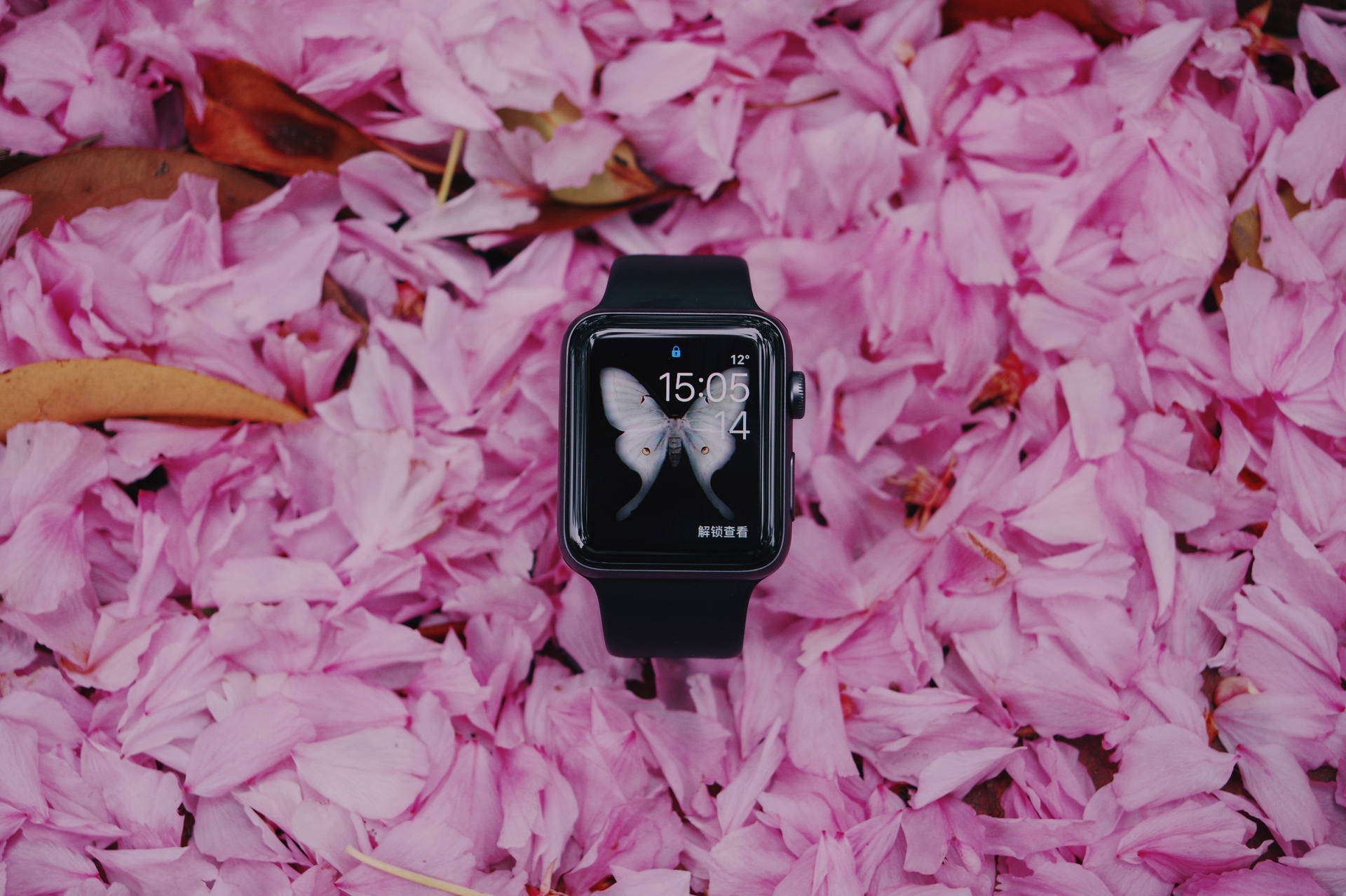 Black Smartwatch On Pink Petals