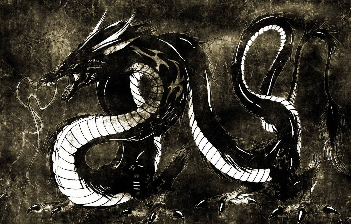 Black Snake Water Dragon Background