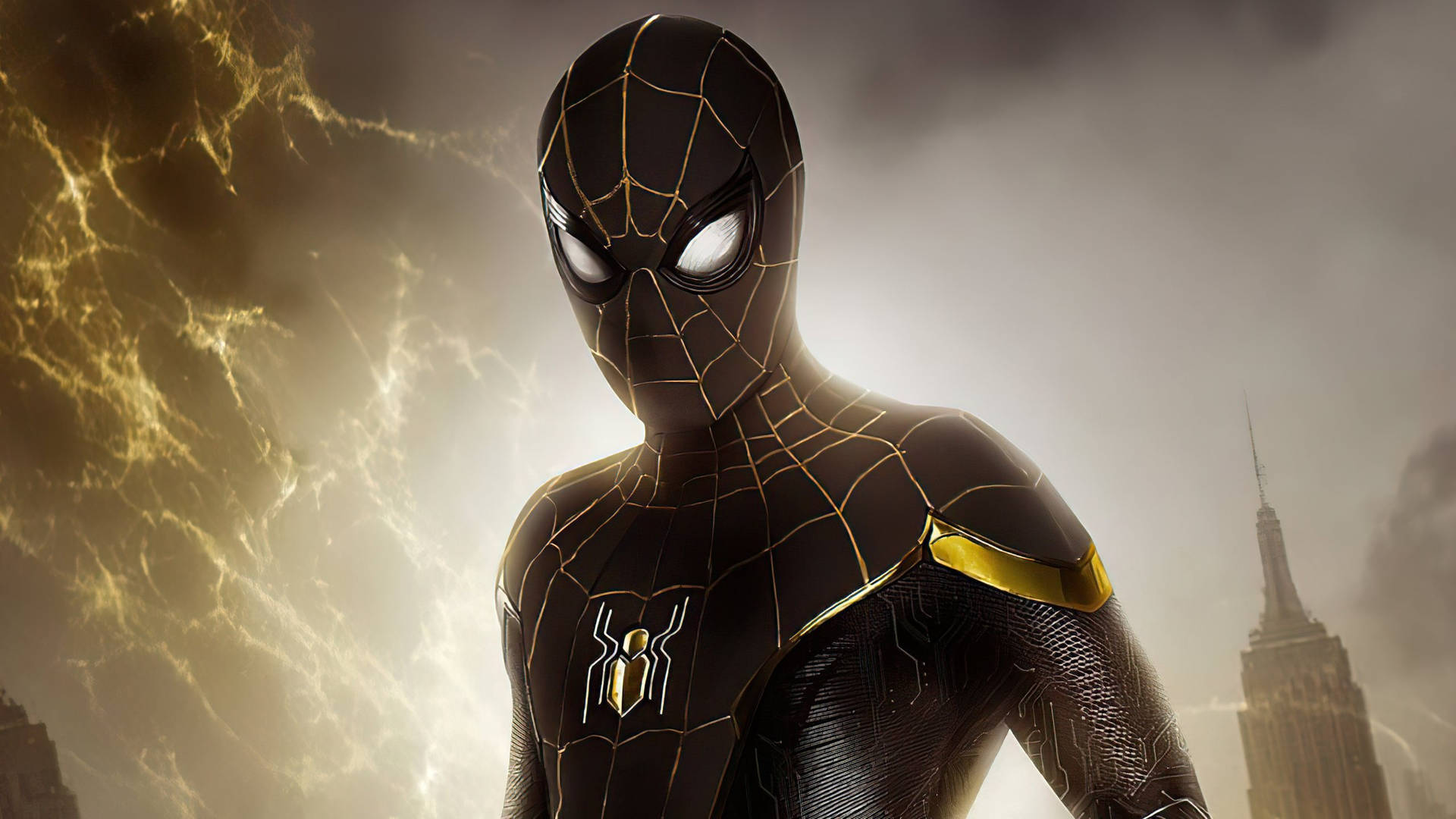 Black Spiderman Suit