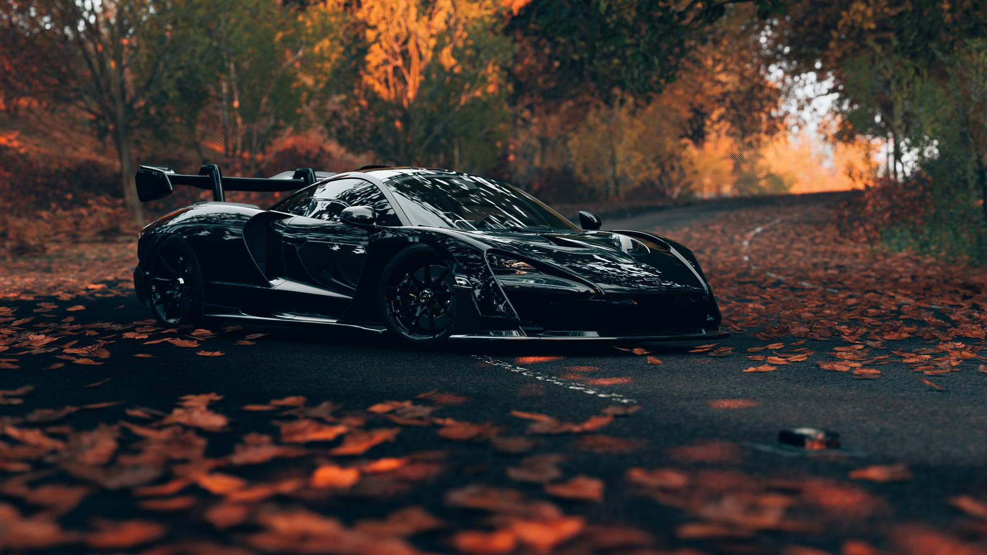 Black Sports Cars In Autumn