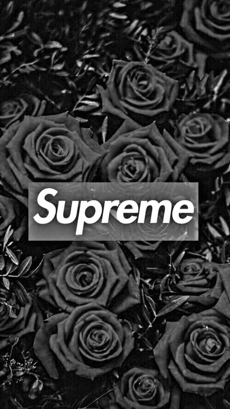 Black Supreme Greyscale Roses Background