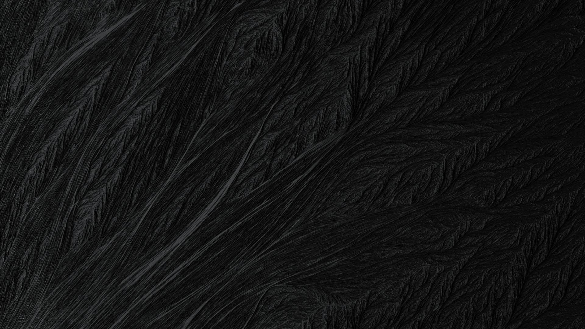 Black Texture Dark Fur Background