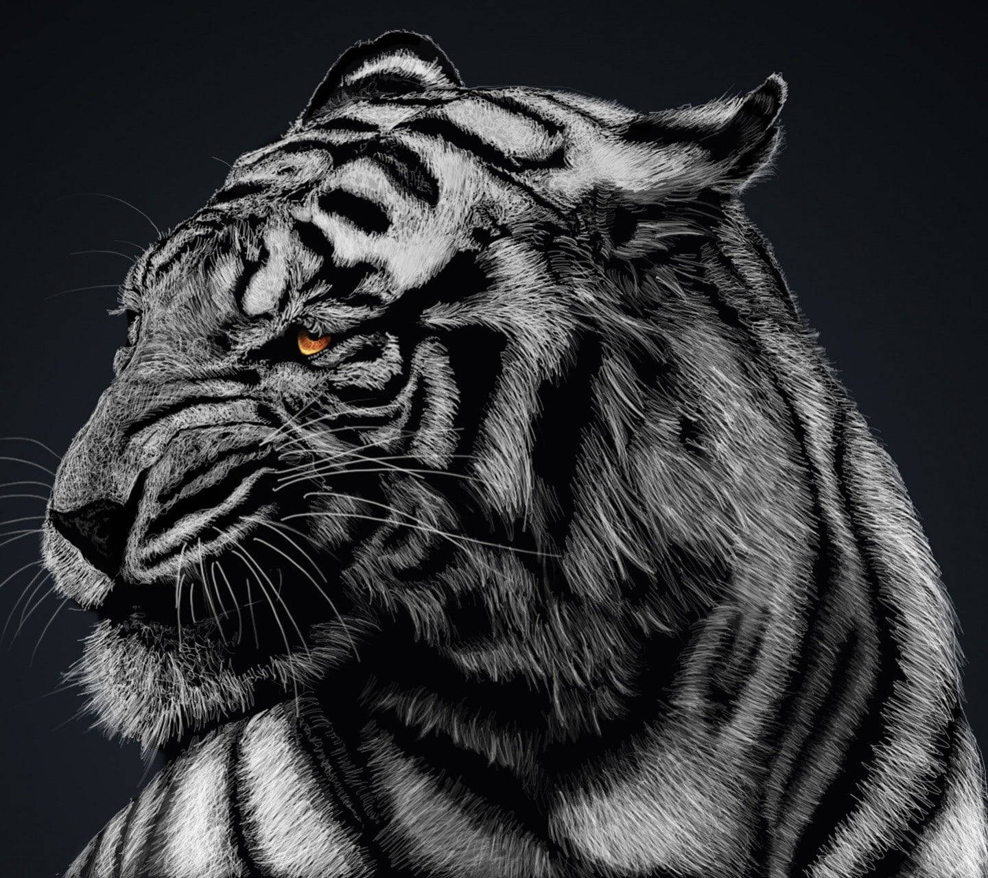 Black Tiger Side Profile Background
