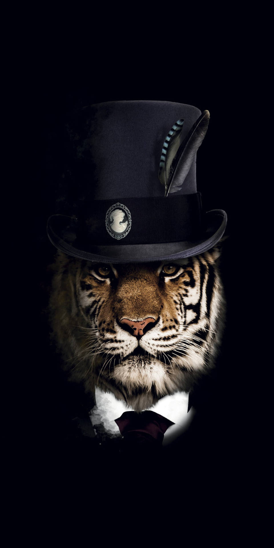 Black Tiger With Top Hat Background