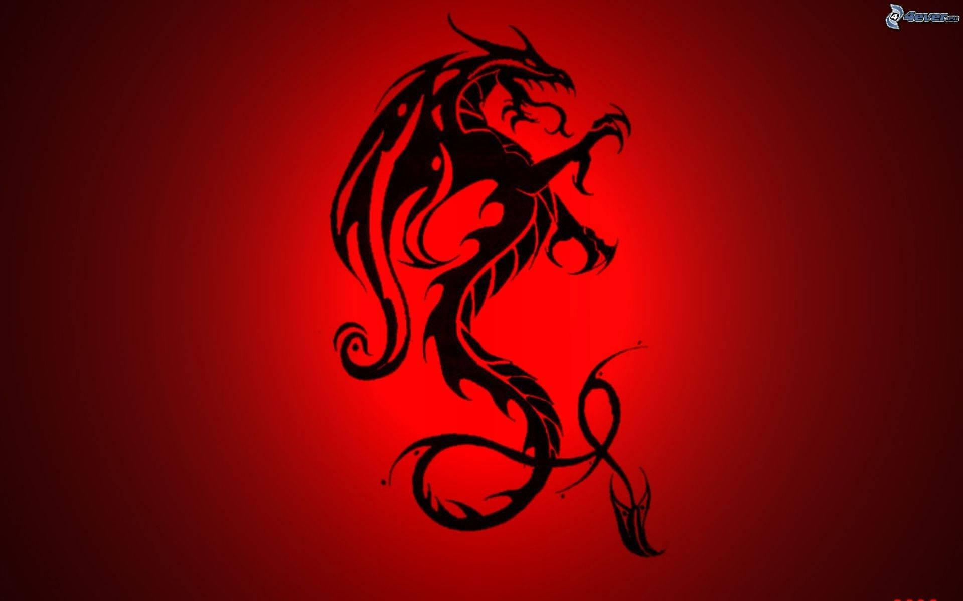 Black Tinted Red Dragon Background