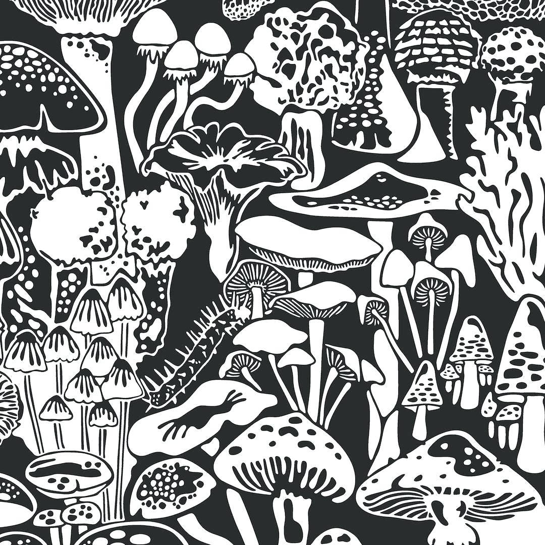 Black Trippy Mushrooms Background
