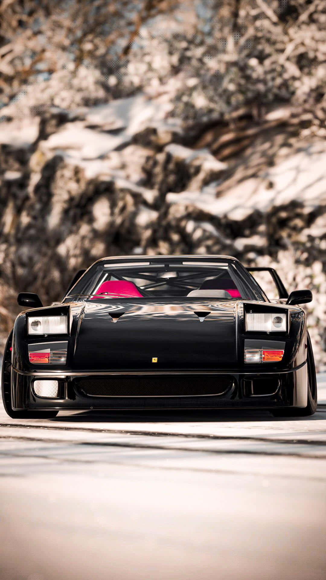 Black Vintage Ferrari F40