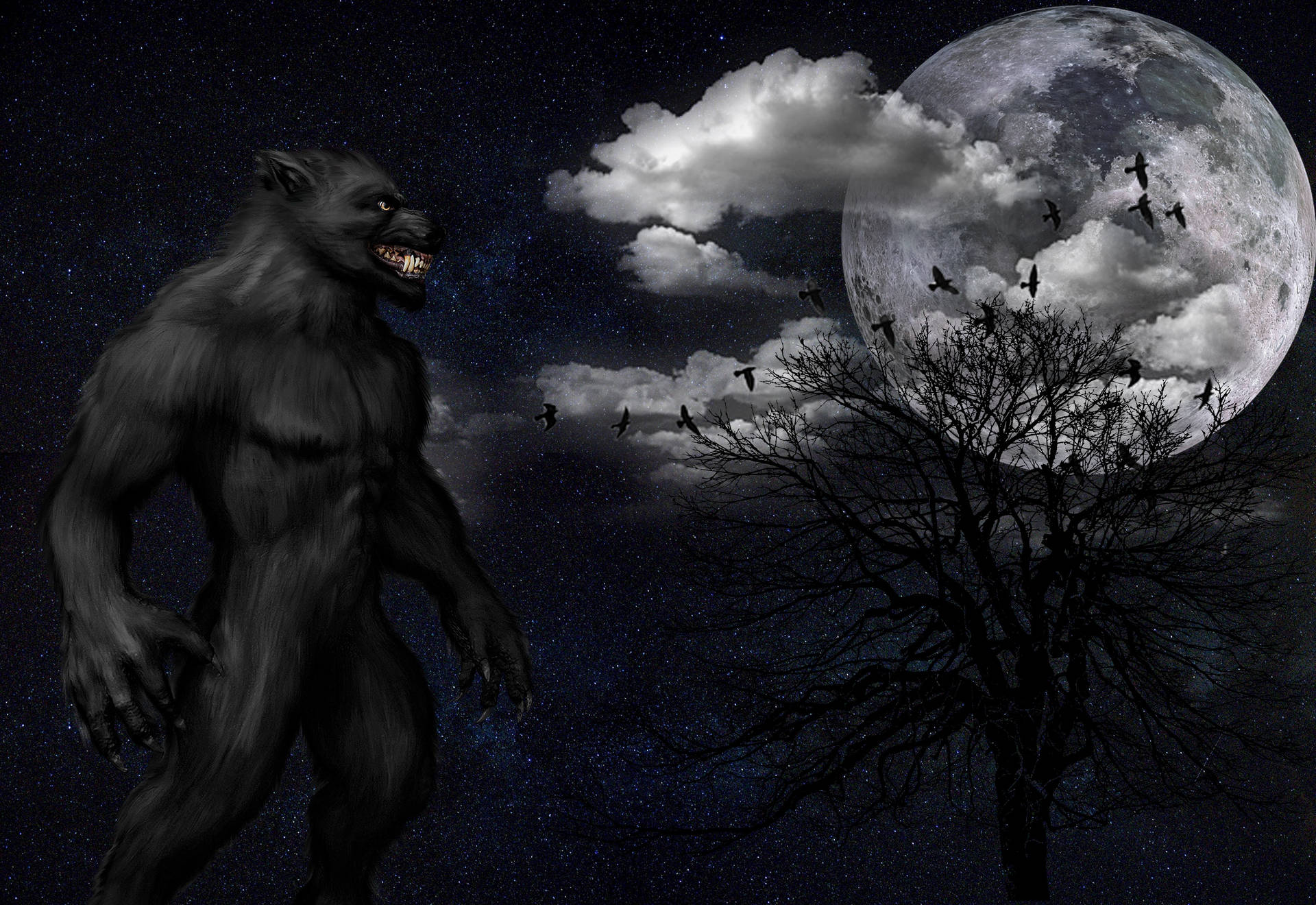 Black Werewolf Full Moon Background