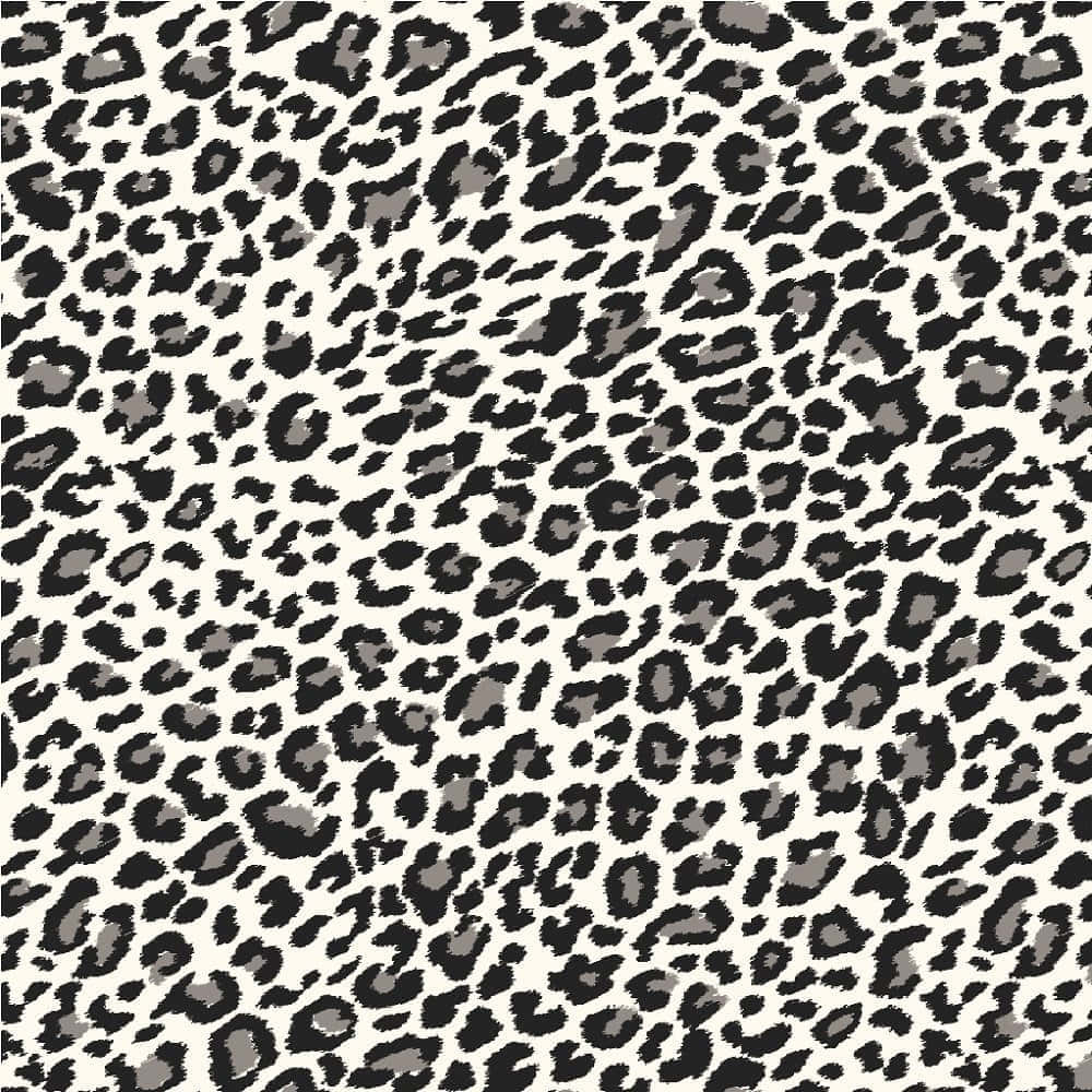 Black White Cute Cheetah Print Background