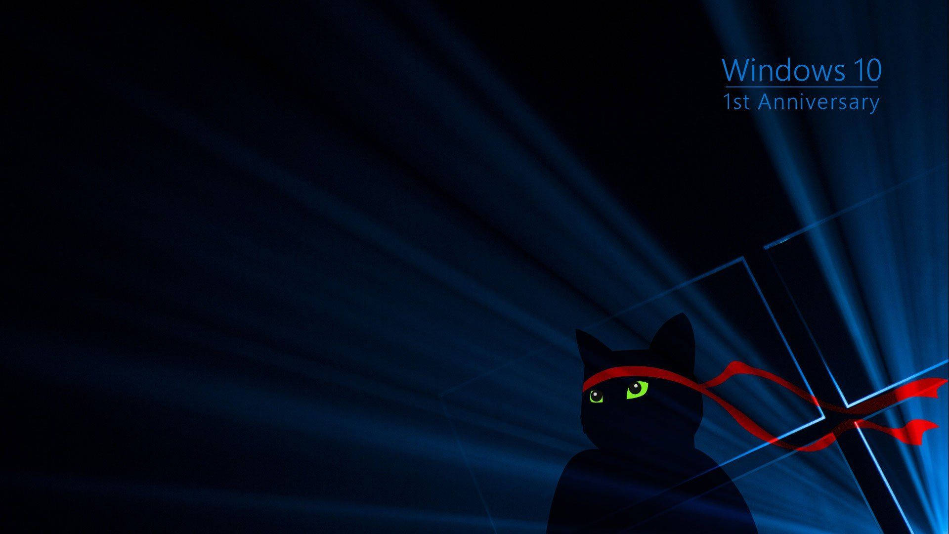 Black Windows 10 Hd Black Cat Background