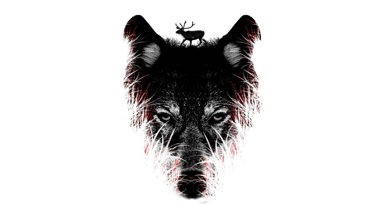 Black Wolf Head Art Background