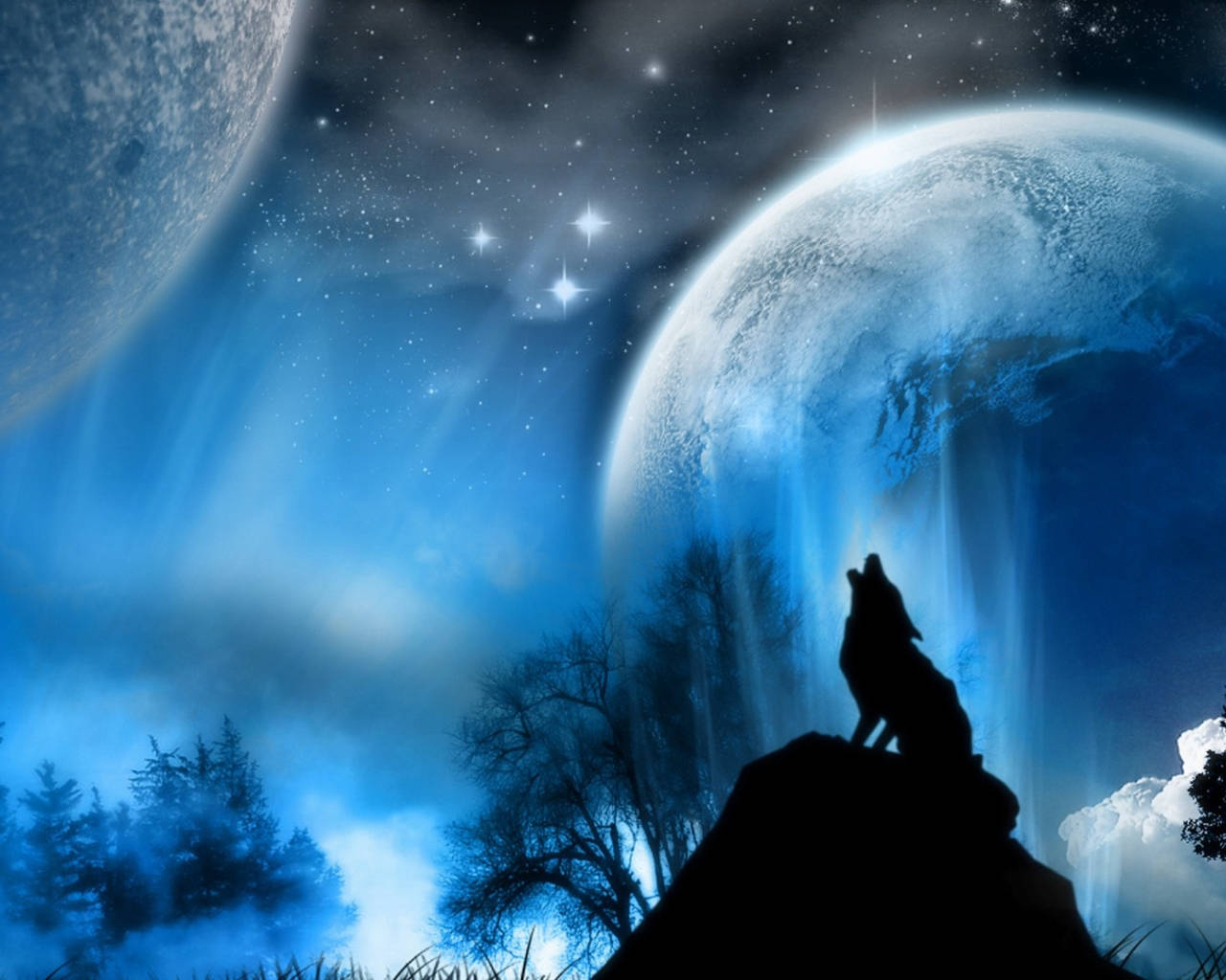 Black Wolf Under Blue Sky Background