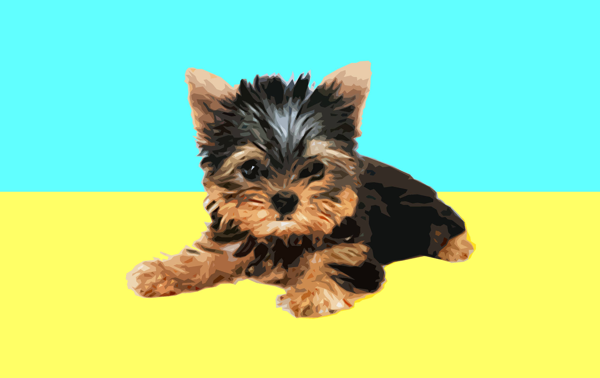 Black Yorkshire Cute Puppy Background