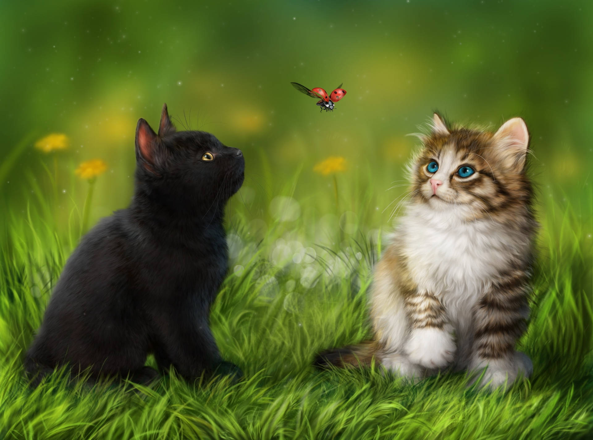 Blackand Tabby Kittensin Grass Background