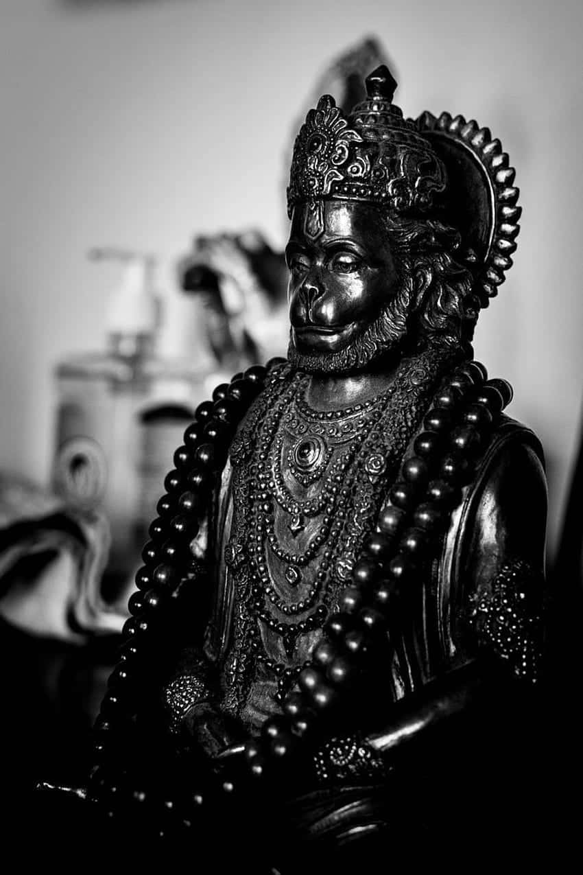 Blackand White Hanuman Statue Background