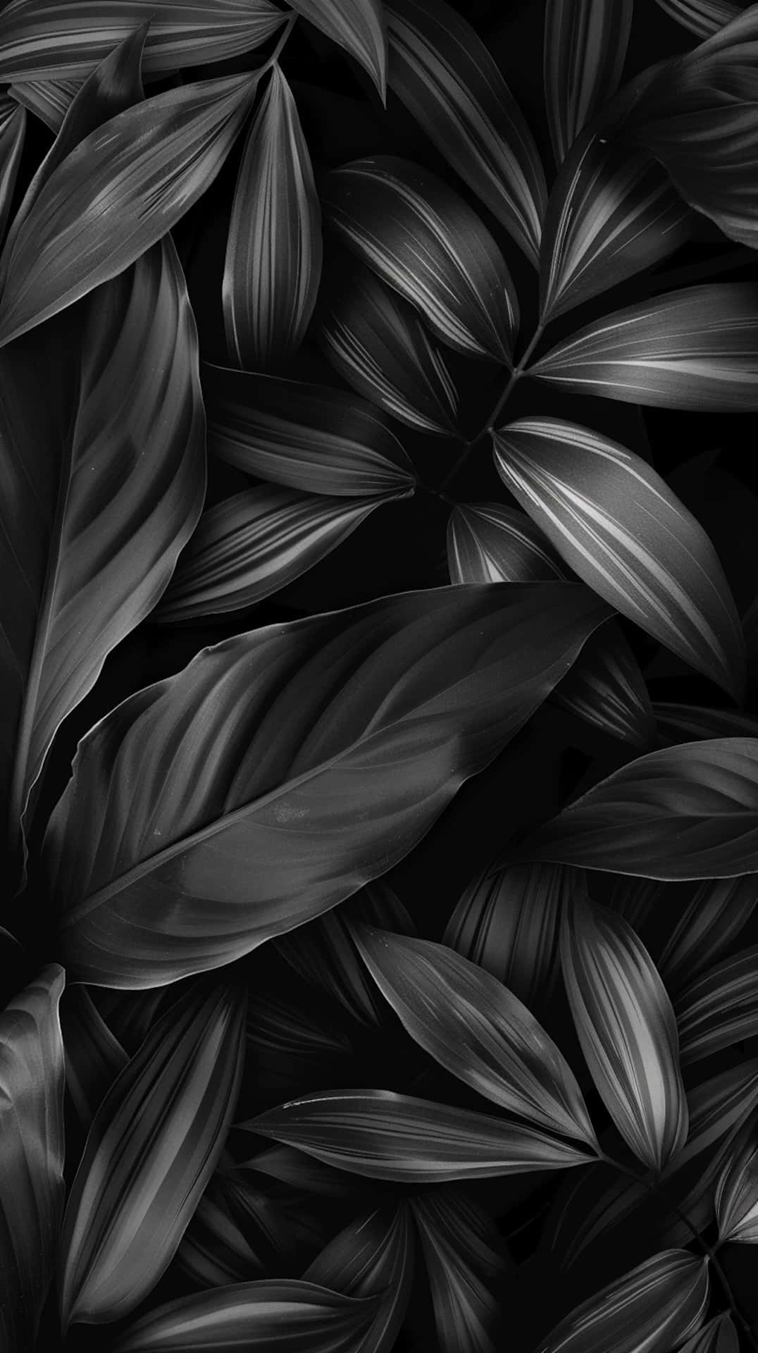 Blackand White Tropical Leaves Pattern Background