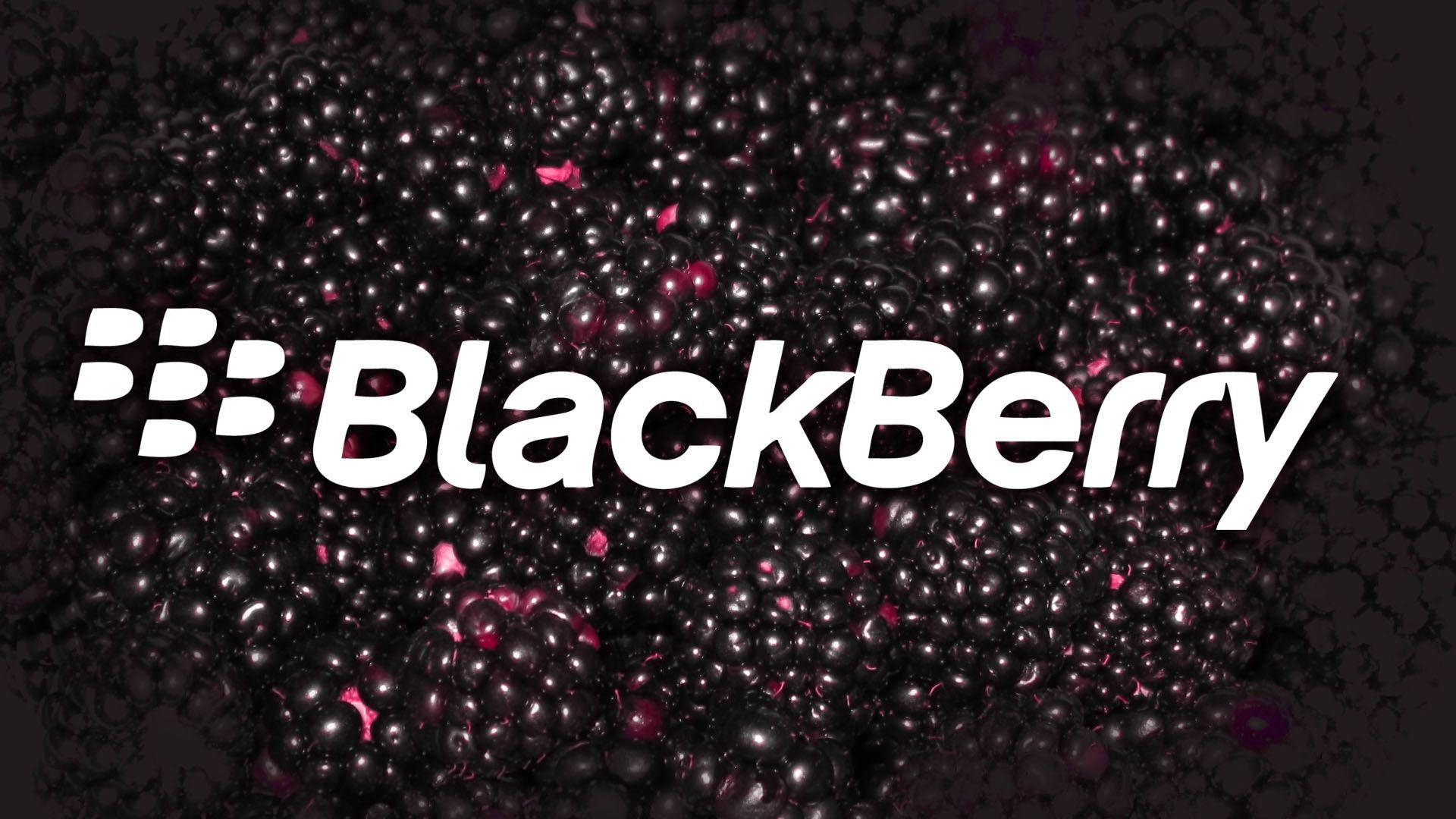 Blackberry Dark Pink Berries Background