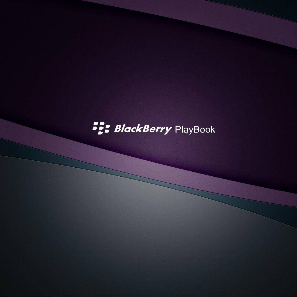Blackberry Dark Purple Background
