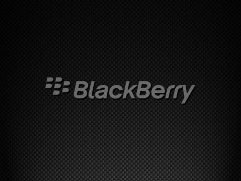 Blackberry In Black Background