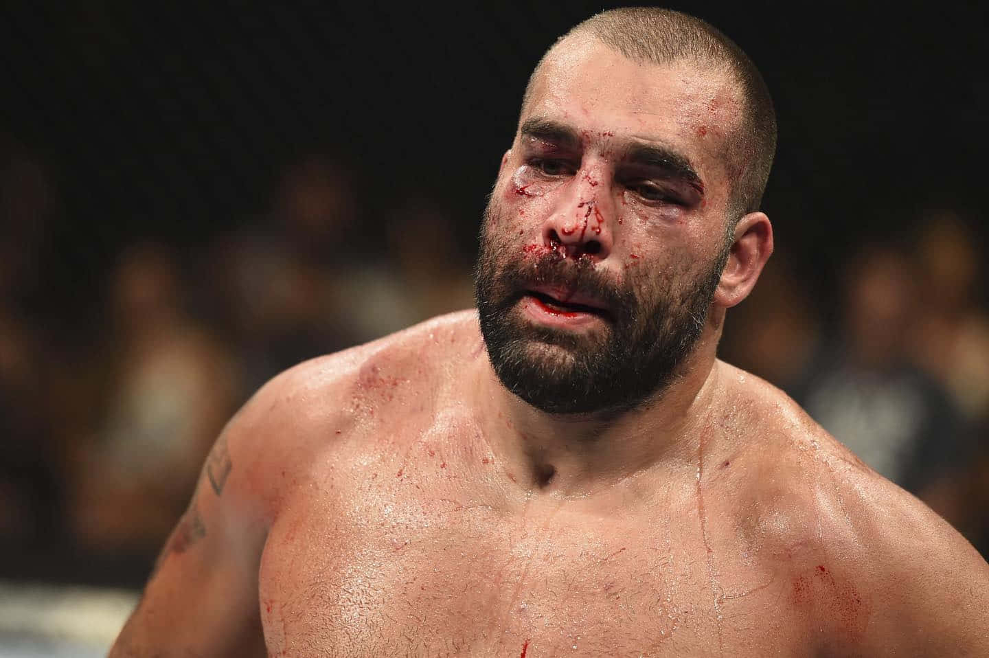 Blagoy Ivanov Bloodied Background