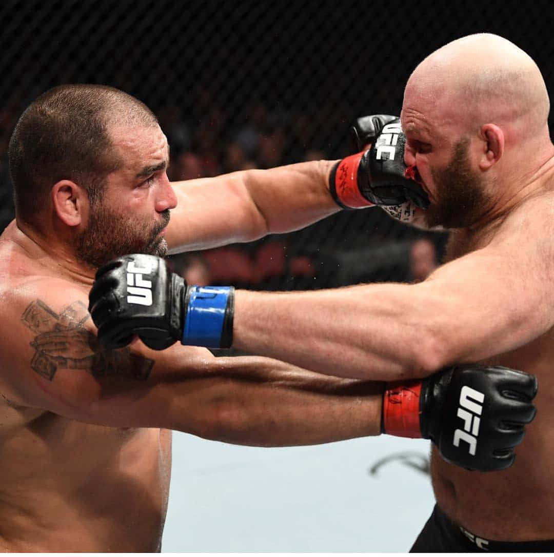 Blagoy Ivanov Fighting Background